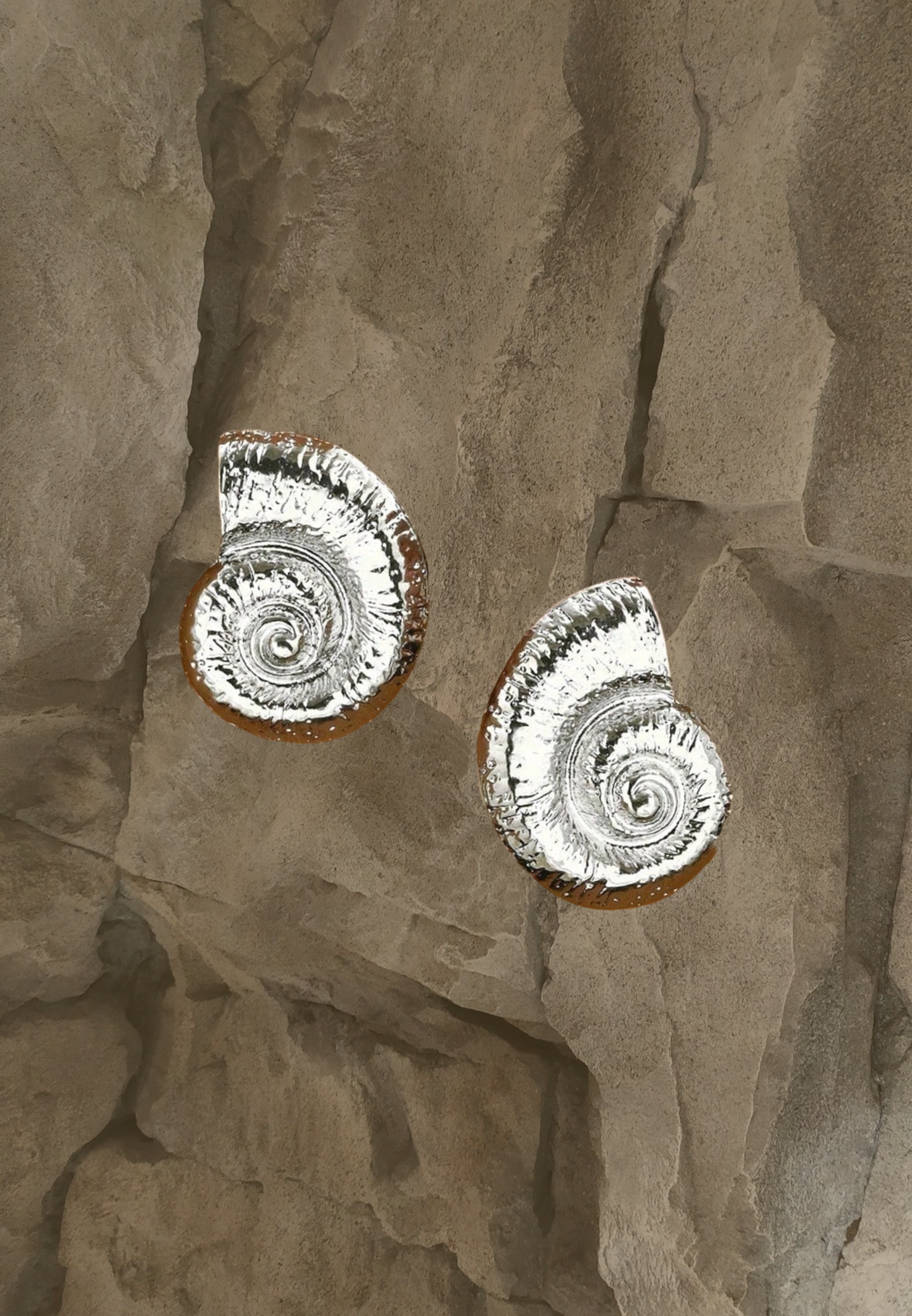 Costa Shell Drop Earrings