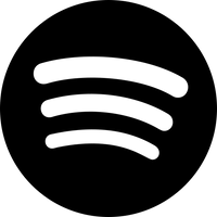 Social icon 2