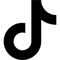 Social icon 3
